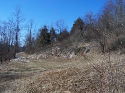 Land for Sale, ListingId:18026716, location: 1 Hollandworth Lane Renick 24966