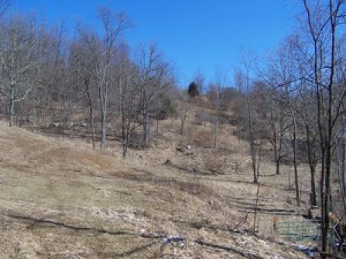 Viewing Image 7