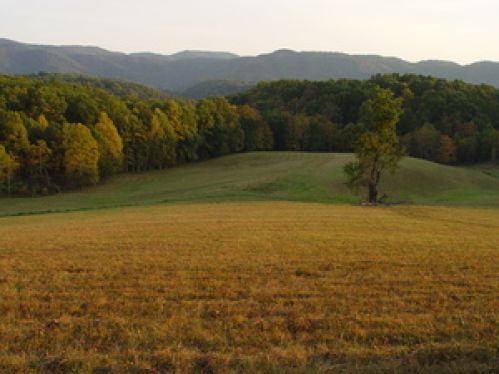 Land for Sale, ListingId:18136002, location: 44 Duncan Branch Road Green Sulphur Springs 25966
