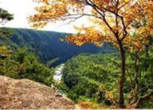Land for Sale, ListingId:18508091, location: 99 Coleman Cliffs Road Frankford 24938