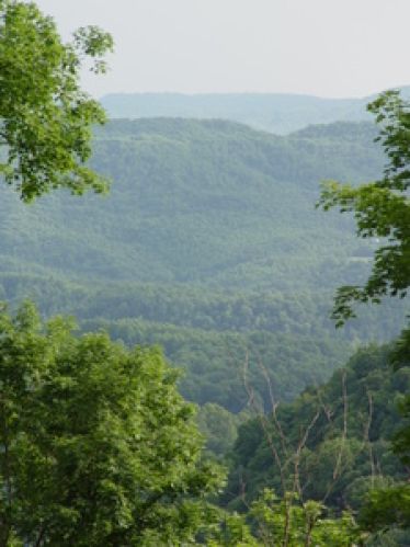Land for Sale, ListingId:18823973, location: 145 Duncan Branch Rd. Green Sulphur Springs 25966
