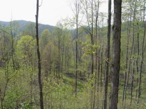 Land for Sale, ListingId:18823975, location: 147 Duncan Branch Rd. Green Sulphur Springs 25966