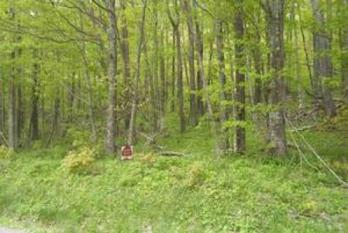 Land for Sale, ListingId:18964654, location: 2 Eagles Nest /60 2 Snowshoe 26209