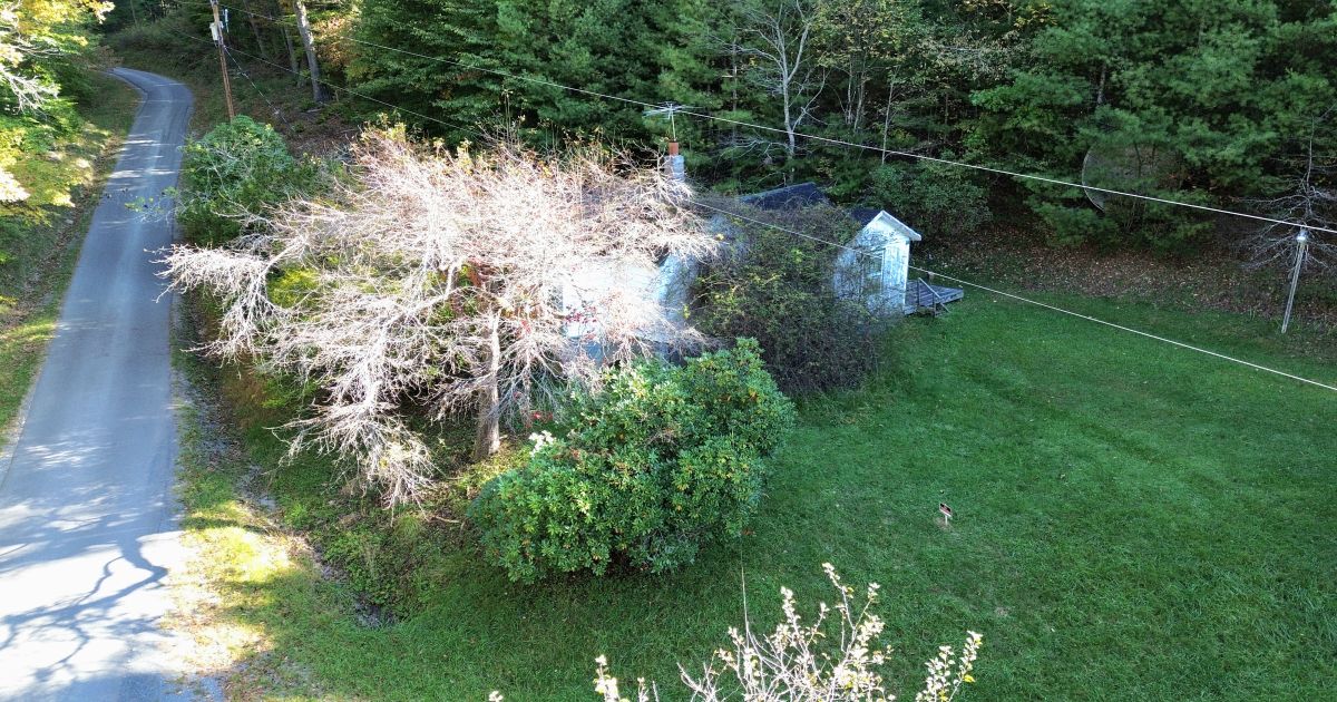 Red Oak Realty, wv Hollywood, WV 26 (+) AC of forest land w