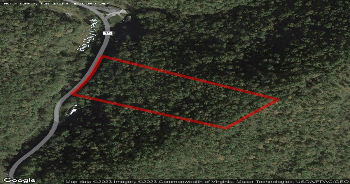 Red Oak Realty, wv BIG UGLY, Lincoln County 5 wooded acres