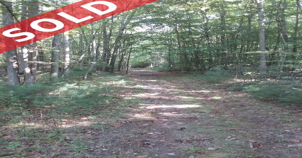 SOLD! LIST WITH Red Oak Realty, wv 5 Private..LEVEL Wooded Acres Tucked