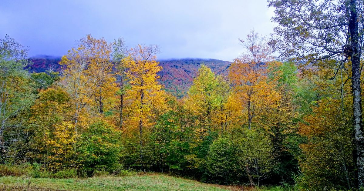 Red Oak Realty, wv SNOWSHOE, WV....VALLEY VIEWS GALORE! ON THIS