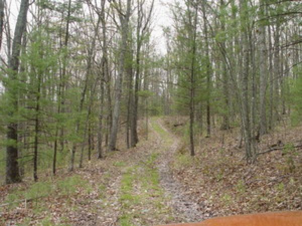 access road