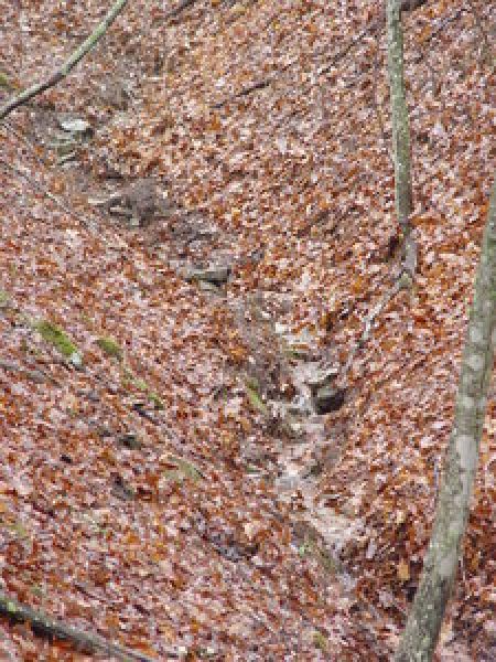 Seasonal Creek