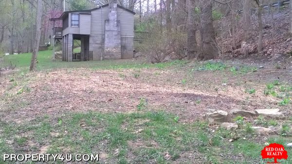 other neighbor