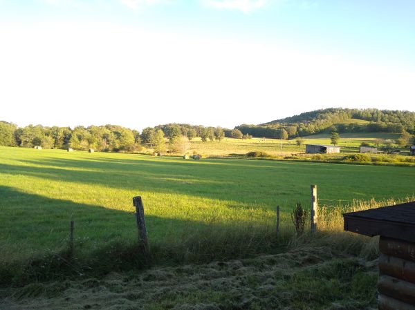 NEXT DOOR FIELD