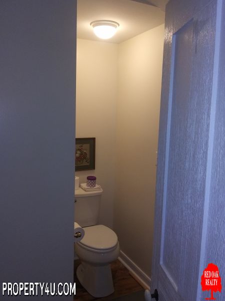 Downstairs master         bathroom